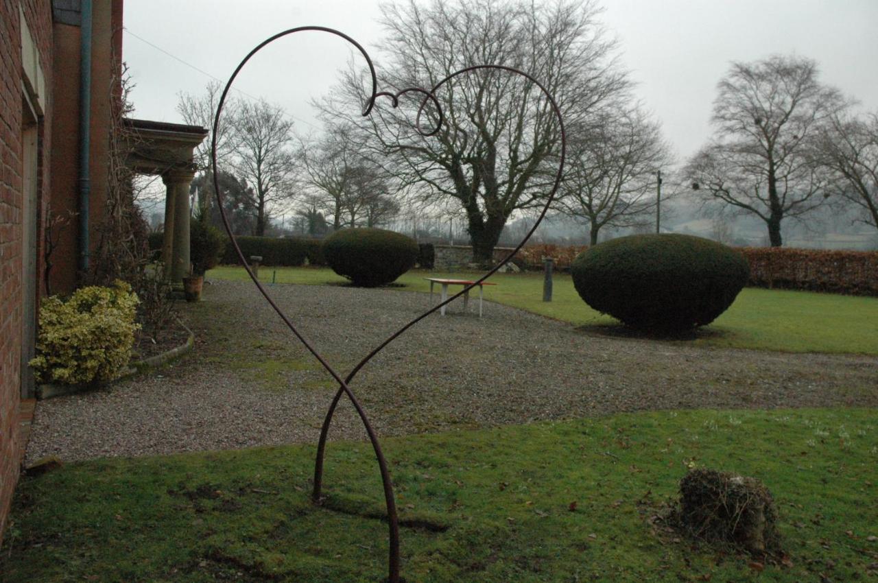 Mid Wales Arts B&B 凯尔苏斯 外观 照片