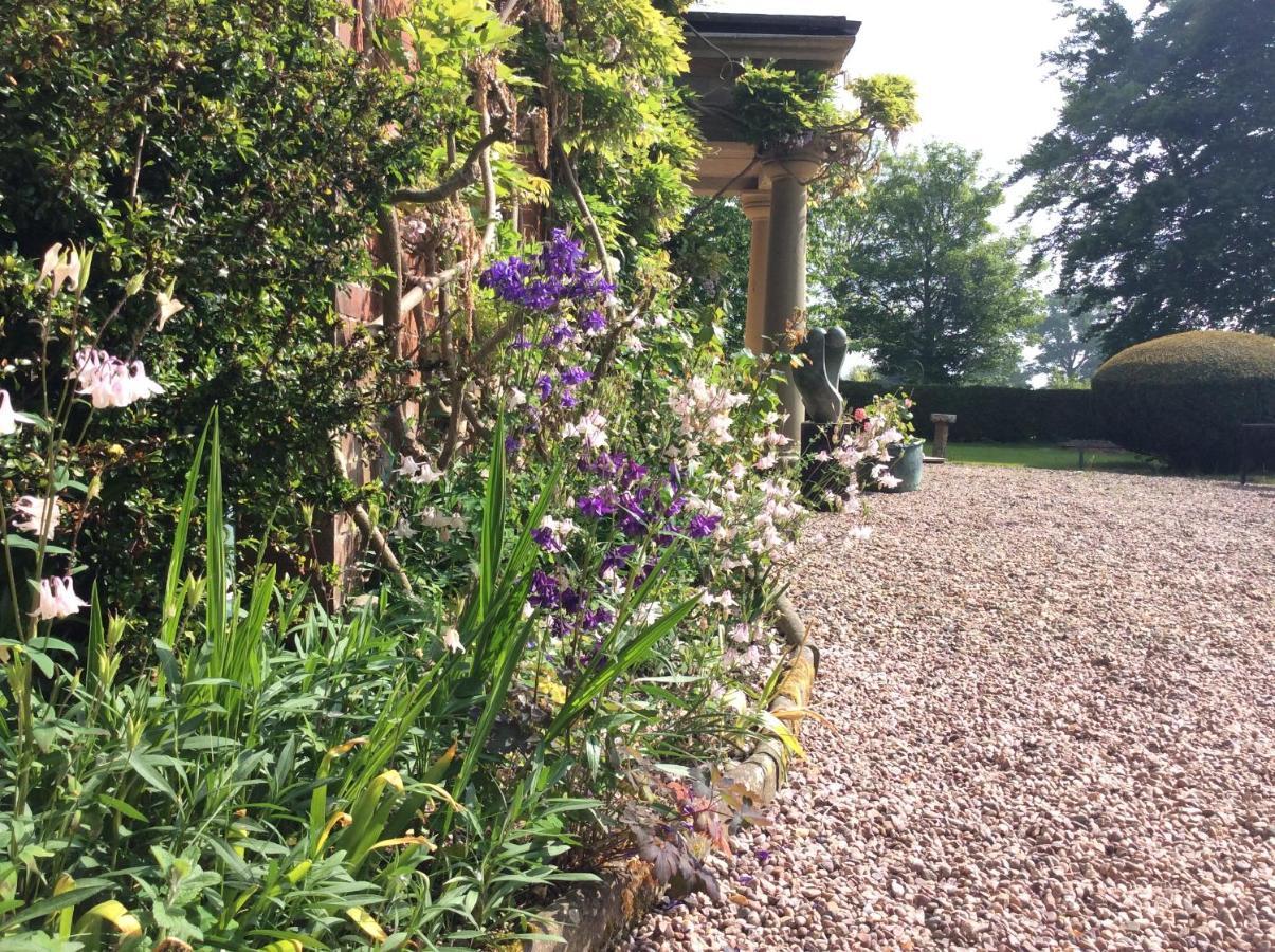 Mid Wales Arts B&B 凯尔苏斯 外观 照片